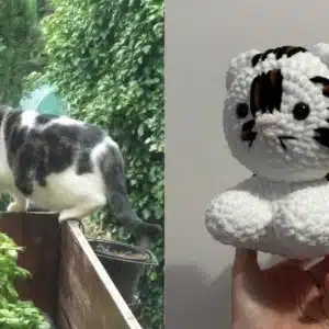 Chat en crochet personnalisé aux couleurs d'un vrai chat