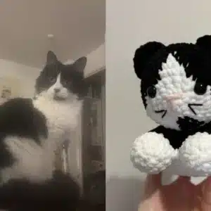 Chat en crochet personnalisé aux couleurs d'un vrai chat