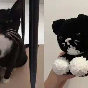 Chat en crochet personnalisé aux couleurs d'un vrai chat