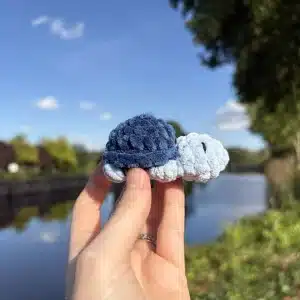 Mini tortue couleur bleu