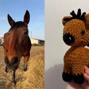 Cheval en crochet personnalisé aux couleurs d'un vrai cheval