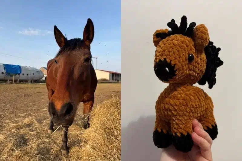 Cheval en crochet personnalisé aux couleurs d'un vrai cheval