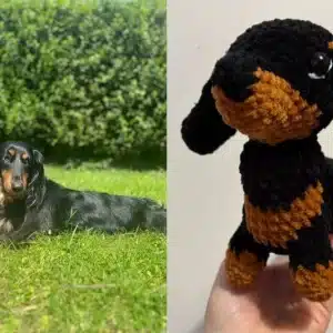 Chien en crochet personnalisé aux couleurs d'un vrai chien