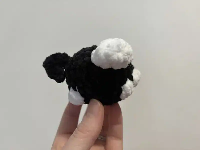Chiot en crochet noir et blanc