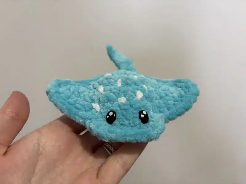 Raie bleue claire en crochet
