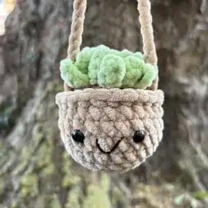Petite plante suspendue en crochet