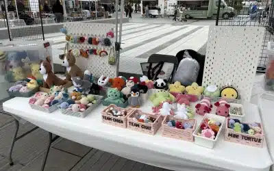Shinzo Crochet participe à la Foire Armentières Shopping pour la Fête de la Musique