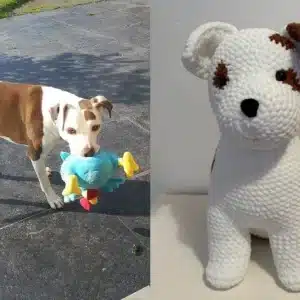 Chien en crochet personnalisé aux couleurs d'un vrai chien