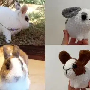 Lapins en crochet personnalisés aux couleurs de vrais lapins