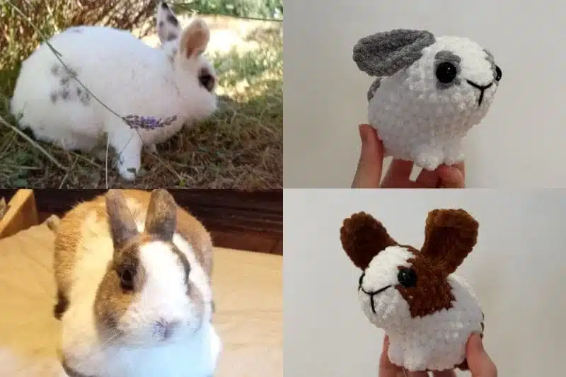 Lapins en crochet personnalisés aux couleurs de vrais lapins
