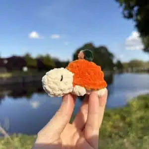 Mini tortue citrouille en crochet