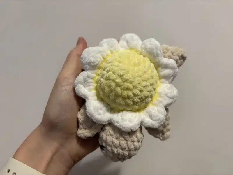 Tortue fleur marguerite en crochet